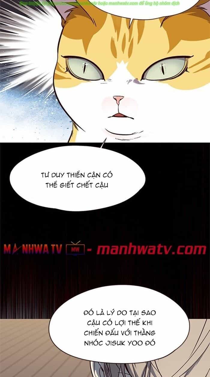 Hoá Thân Thành Mèo - Chương 43 - ảnh 17