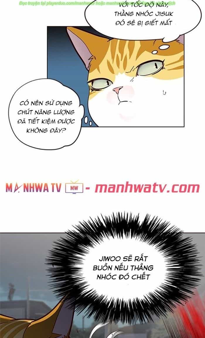Hoá Thân Thành Mèo - Chương 43 - ảnh 54