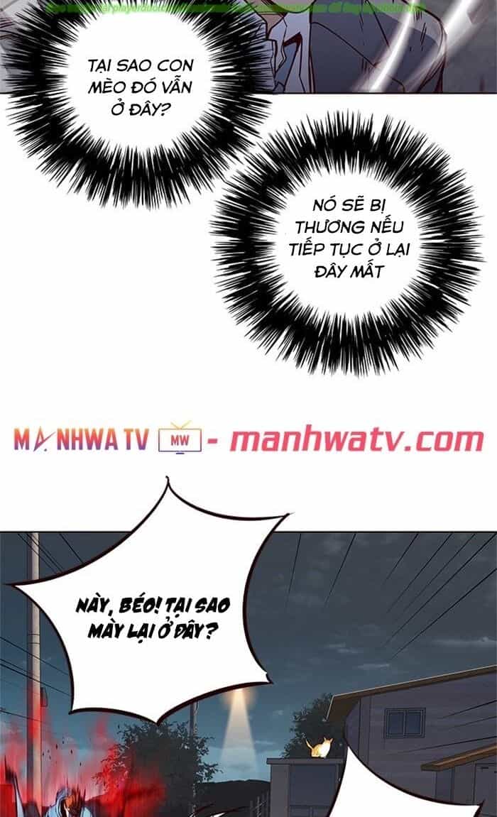 Hoá Thân Thành Mèo - Chương 43 - ảnh 56