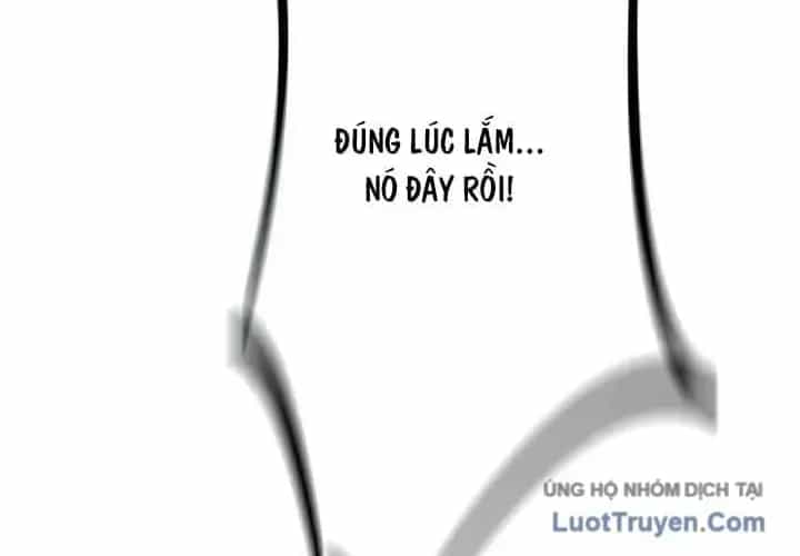 Hoá Thân Thành Mèo - Chương 419 - ảnh 135