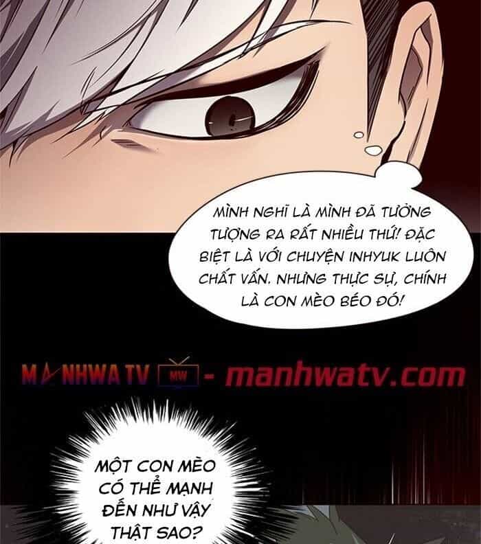 Hoá Thân Thành Mèo - Chương 46 - ảnh 49
