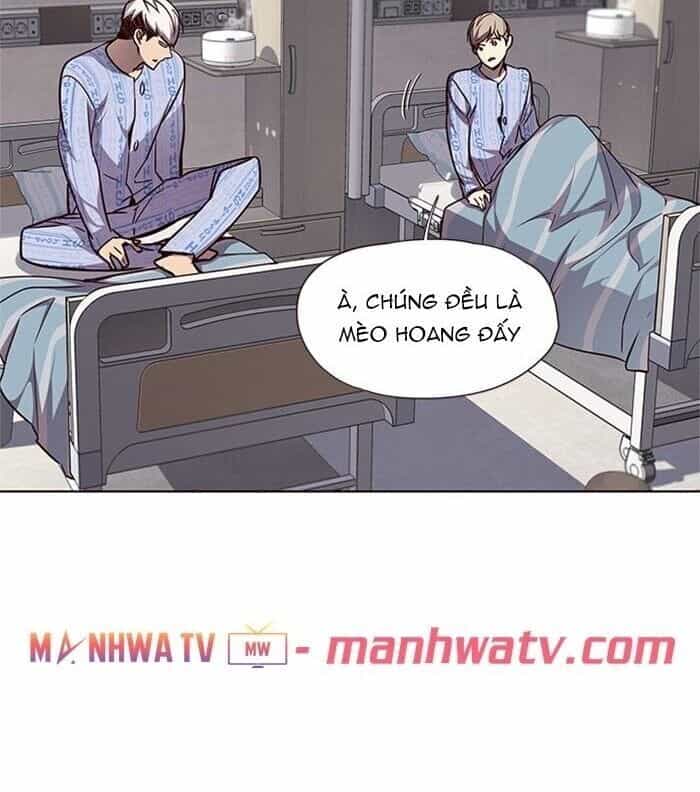 Hoá Thân Thành Mèo - Chương 46 - ảnh 55