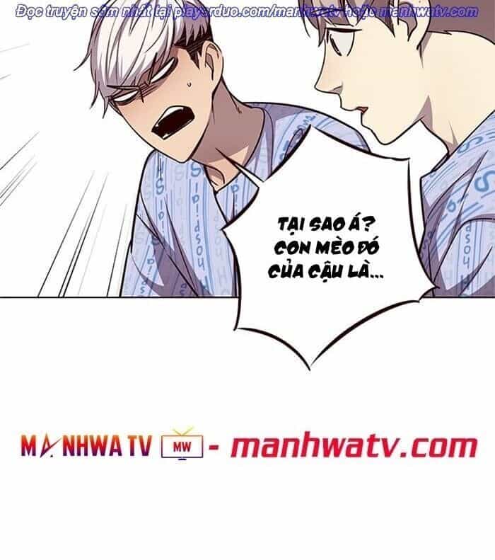 Hoá Thân Thành Mèo - Chương 46 - ảnh 64