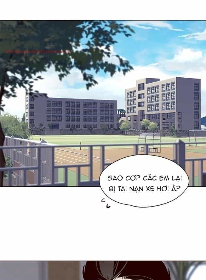 Hoá Thân Thành Mèo - Chương 48 - ảnh 3
