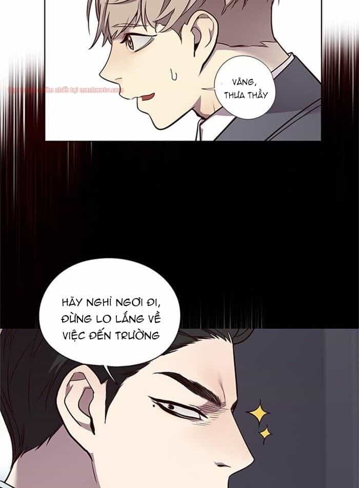 Hoá Thân Thành Mèo - Chương 48 - ảnh 8