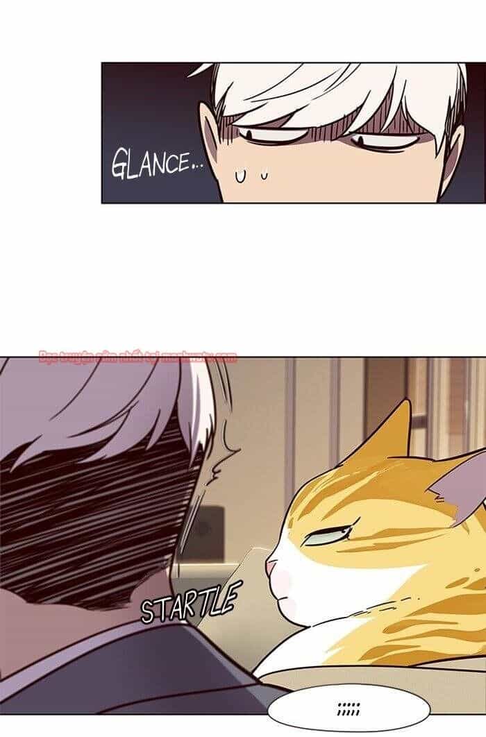 Hoá Thân Thành Mèo - Chương 49 - ảnh 90