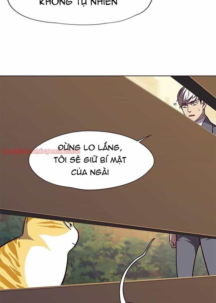 Hoá Thân Thành Mèo - Chương 50 - ảnh 31