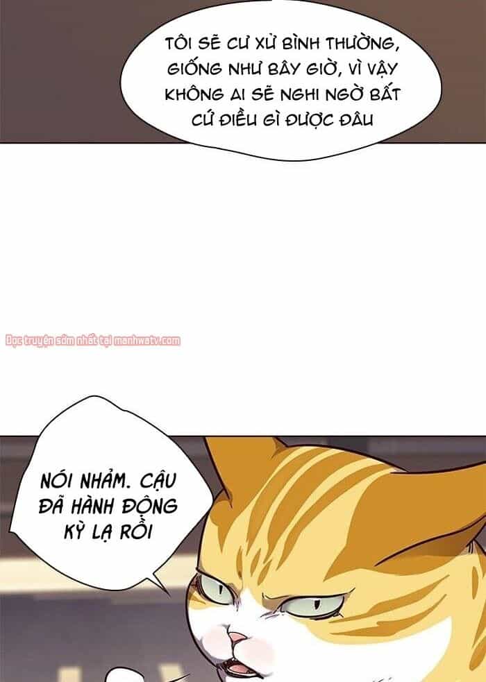 Hoá Thân Thành Mèo - Chương 50 - ảnh 32