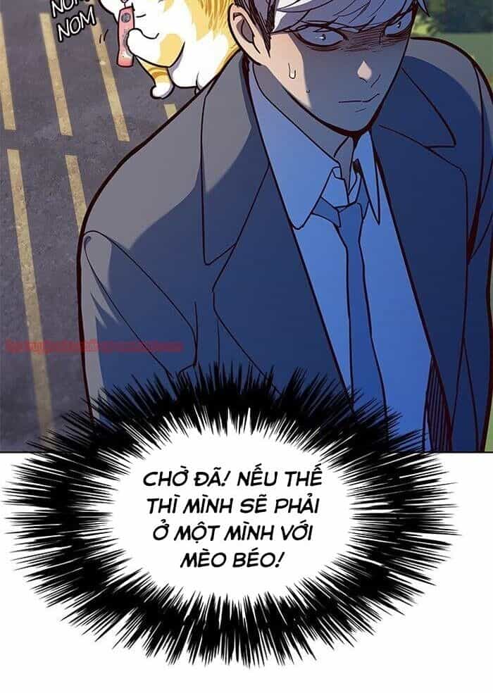 Hoá Thân Thành Mèo - Chương 50 - ảnh 46