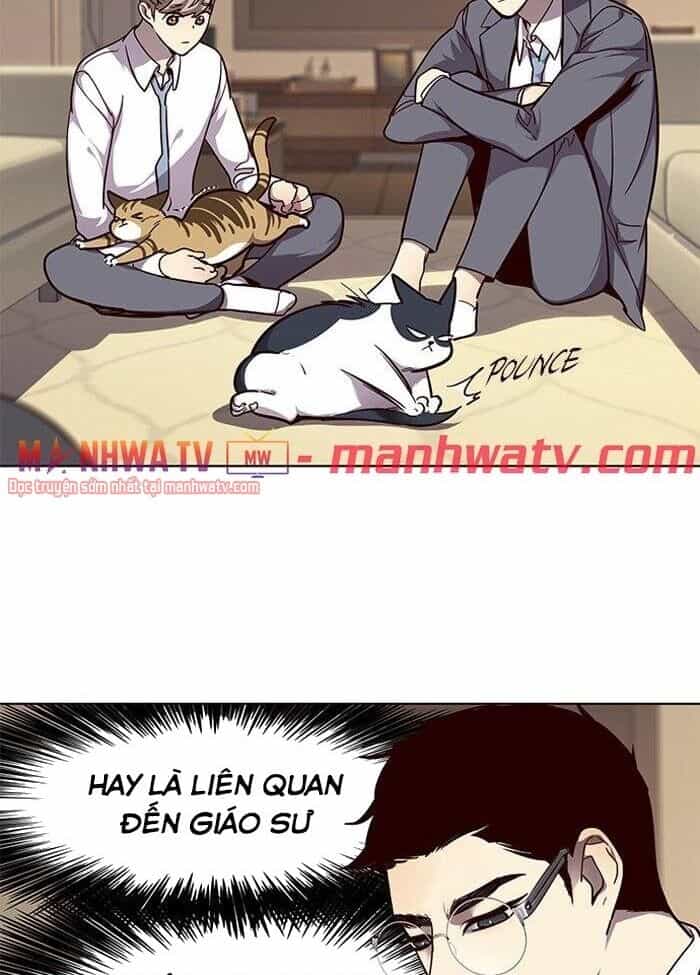 Hoá Thân Thành Mèo - Chương 50 - ảnh 5