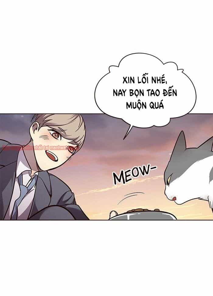 Hoá Thân Thành Mèo - Chương 50 - ảnh 50