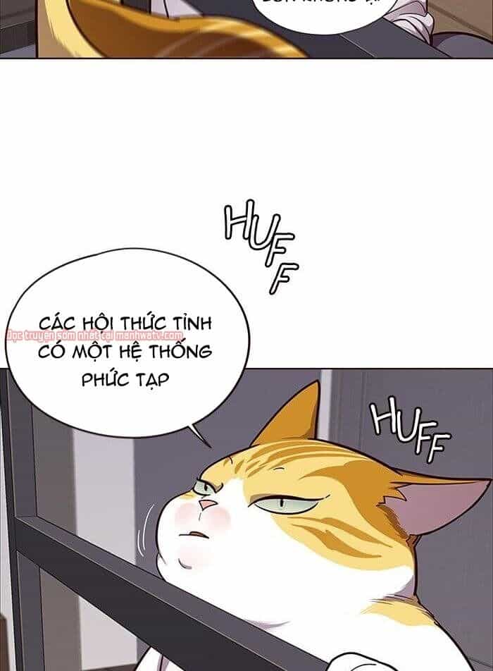 Hoá Thân Thành Mèo - Chương 51 - ảnh 14