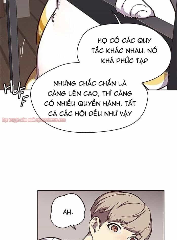 Hoá Thân Thành Mèo - Chương 51 - ảnh 15
