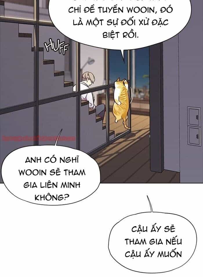 Hoá Thân Thành Mèo - Chương 51 - ảnh 17