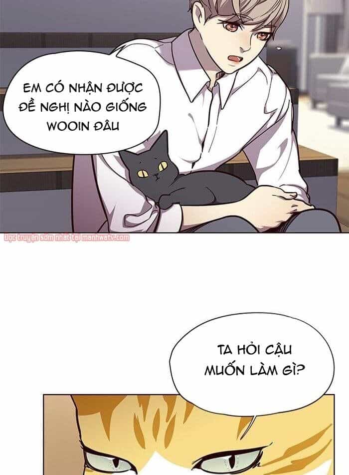 Hoá Thân Thành Mèo - Chương 51 - ảnh 24