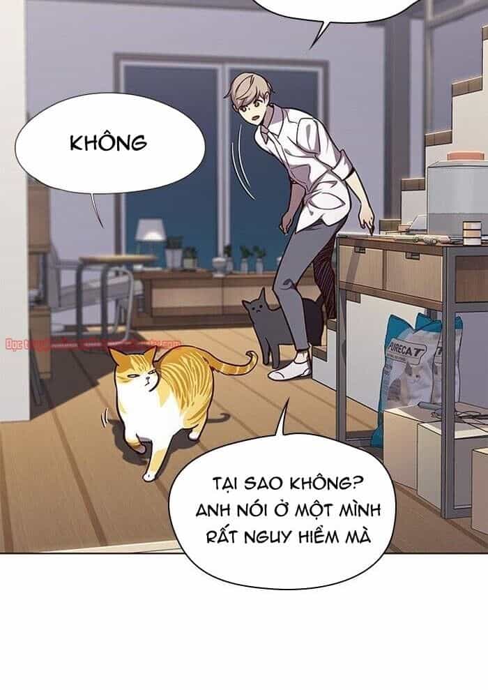 Hoá Thân Thành Mèo - Chương 51 - ảnh 29