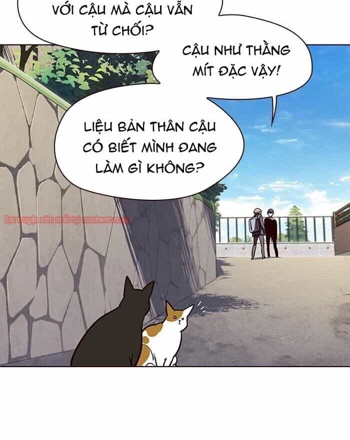 Hoá Thân Thành Mèo - Chương 51 - ảnh 59