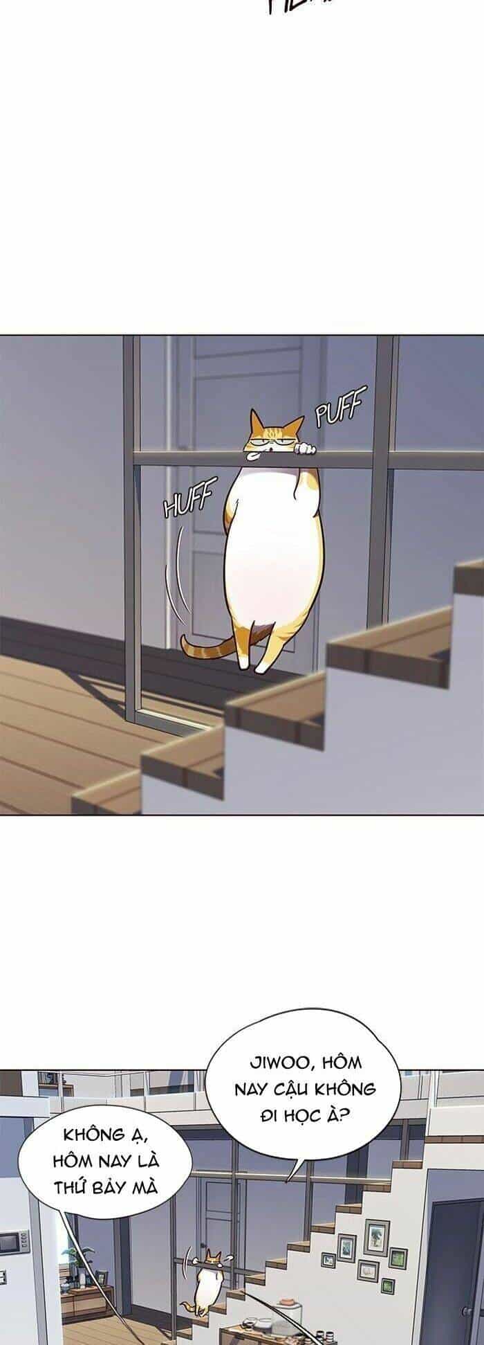 Hoá Thân Thành Mèo - Chương 55 - ảnh 13
