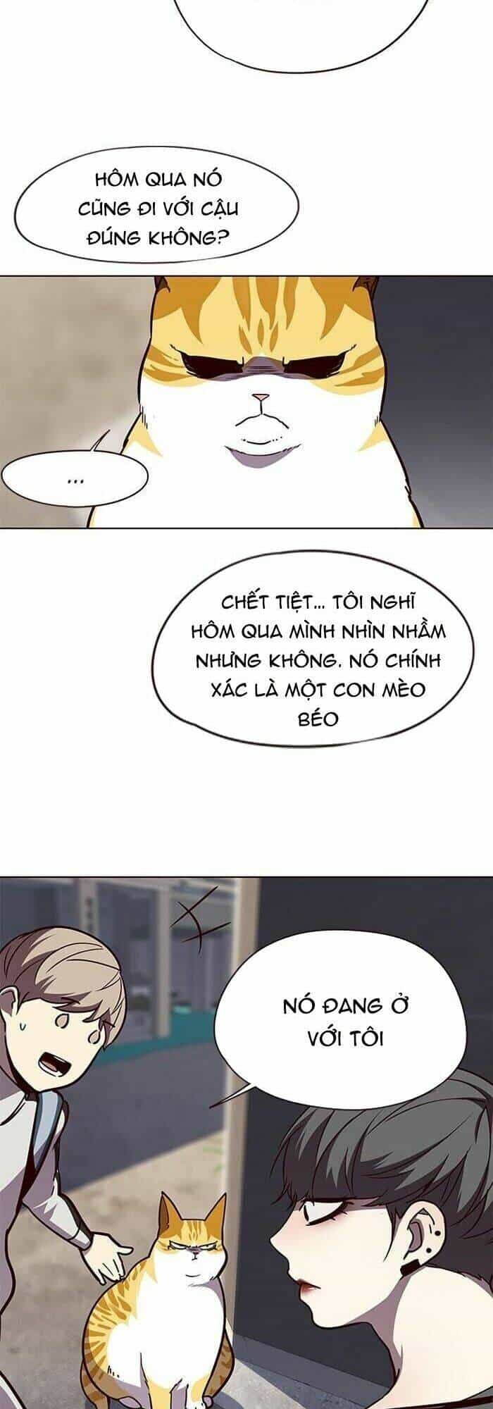 Hoá Thân Thành Mèo - Chương 55 - ảnh 42