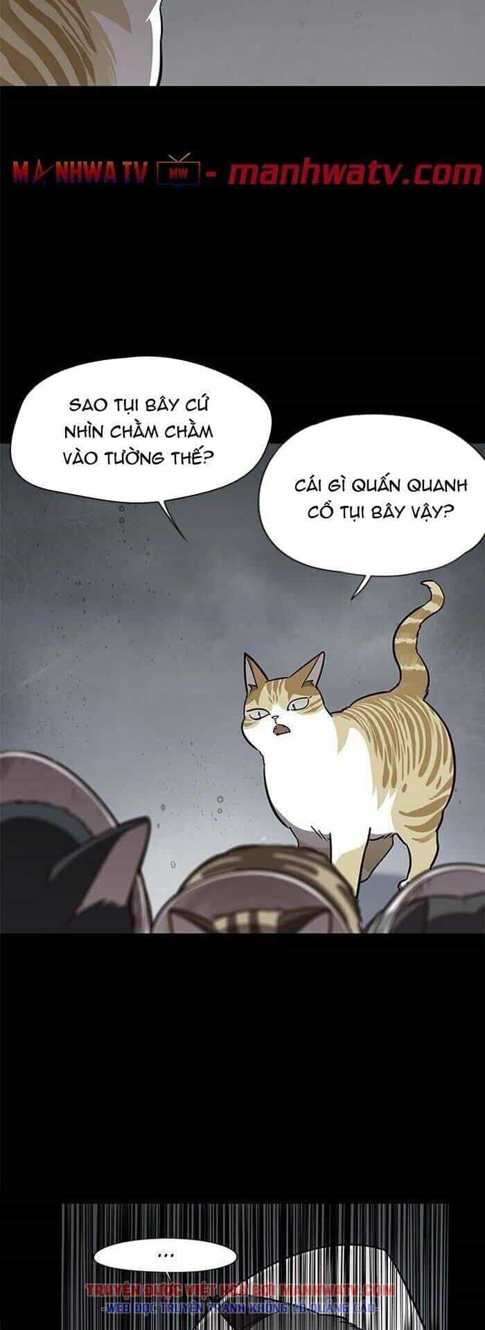 Hoá Thân Thành Mèo - Chương 56 - ảnh 5
