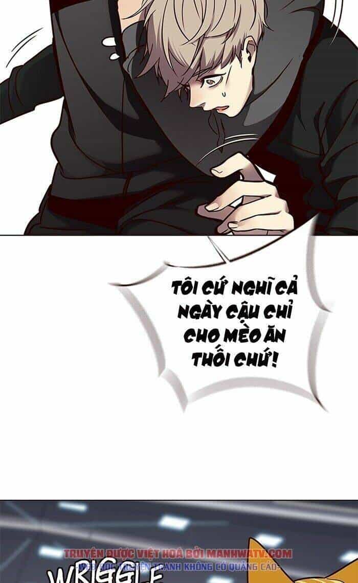 Hoá Thân Thành Mèo - Chương 63 - ảnh 82