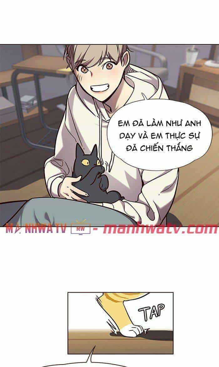 Hoá Thân Thành Mèo - Chương 64 - ảnh 56