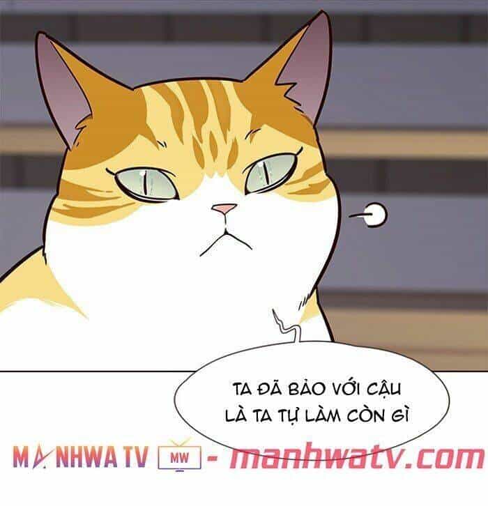 Hoá Thân Thành Mèo - Chương 64 - ảnh 61