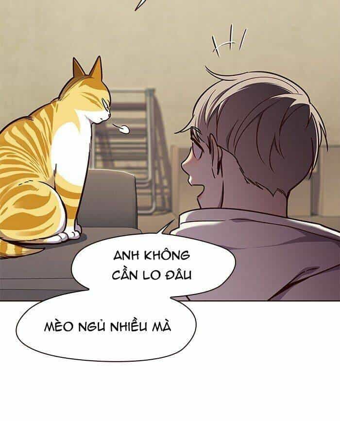 Hoá Thân Thành Mèo - Chương 65 - ảnh 16