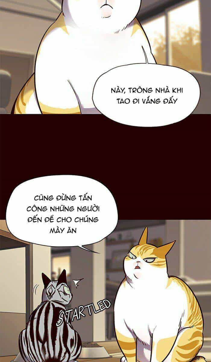Hoá Thân Thành Mèo - Chương 67 - ảnh 38