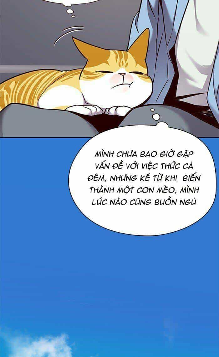Hoá Thân Thành Mèo - Chương 67 - ảnh 48