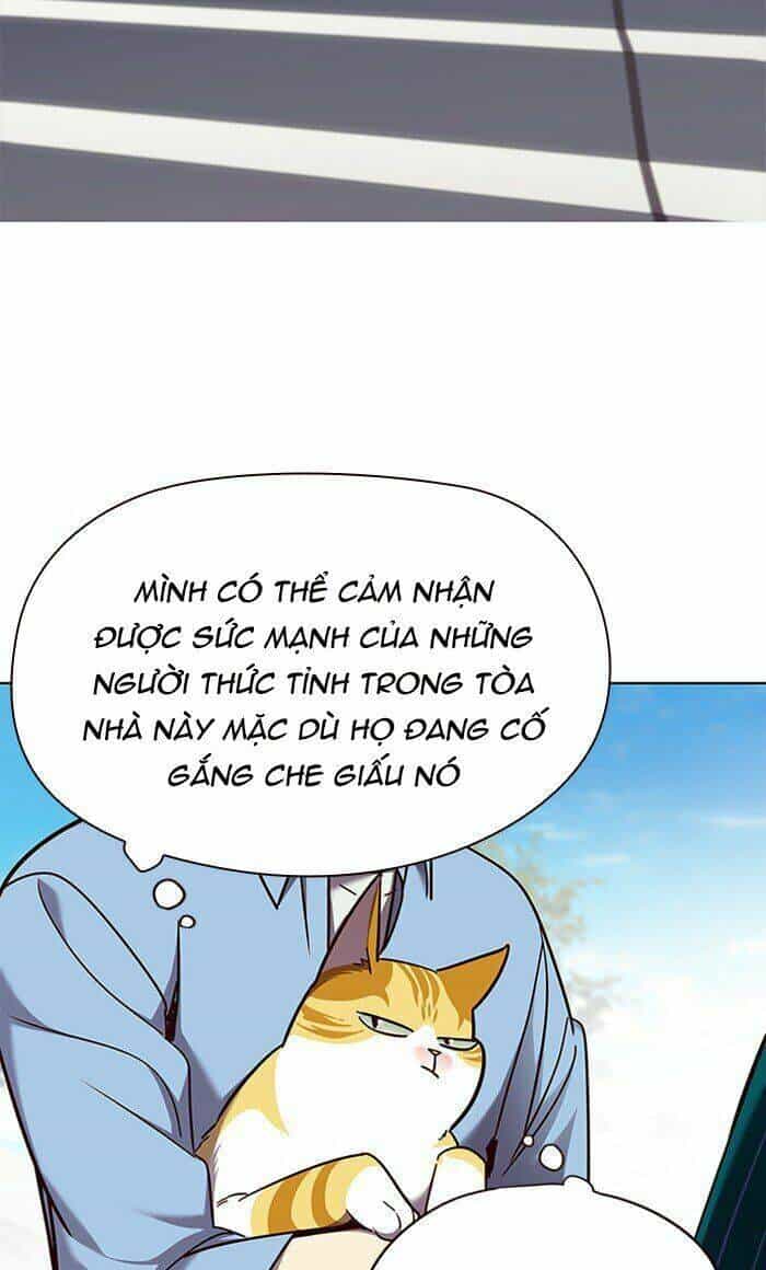 Hoá Thân Thành Mèo - Chương 68 - ảnh 21