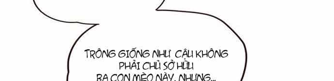 Hoá Thân Thành Mèo - Chương 7 - ảnh 55