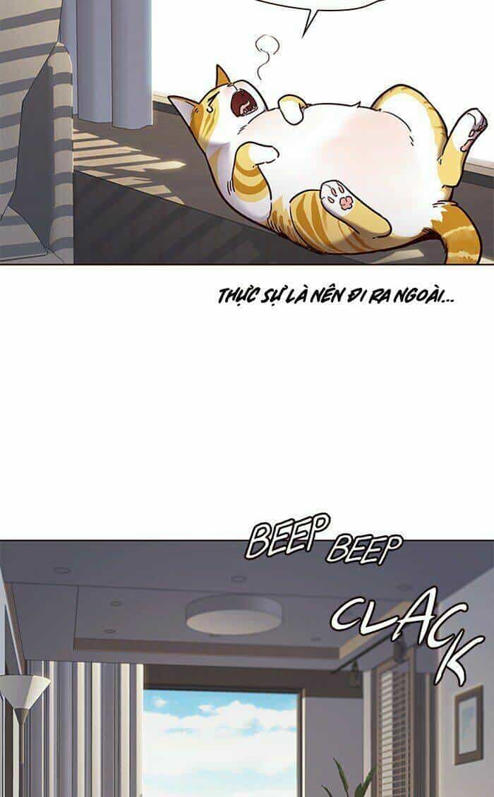 Hoá Thân Thành Mèo - Chương 70 - ảnh 48