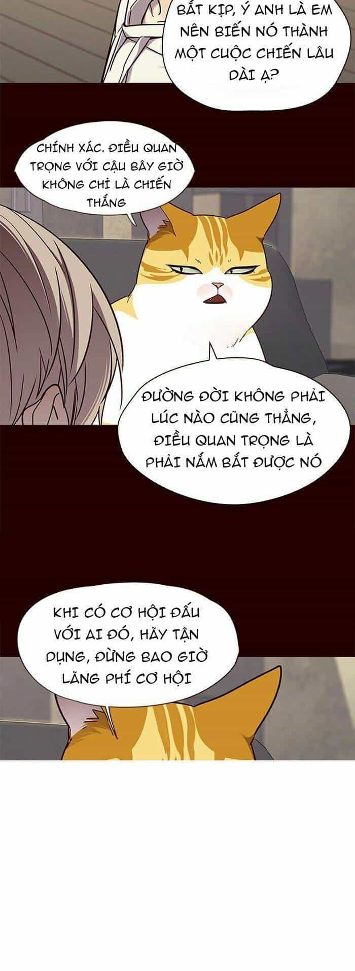 Hoá Thân Thành Mèo - Chương 71 - ảnh 42