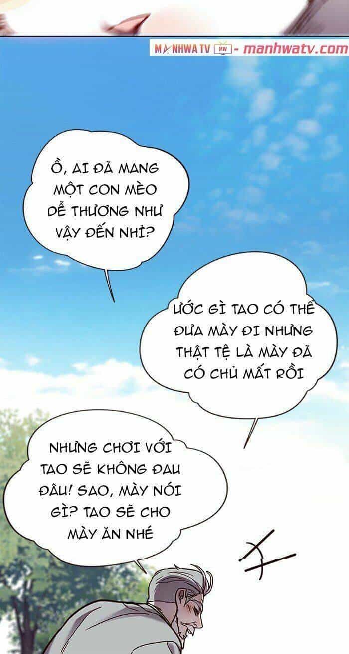 Hoá Thân Thành Mèo - Chương 71 - ảnh 76