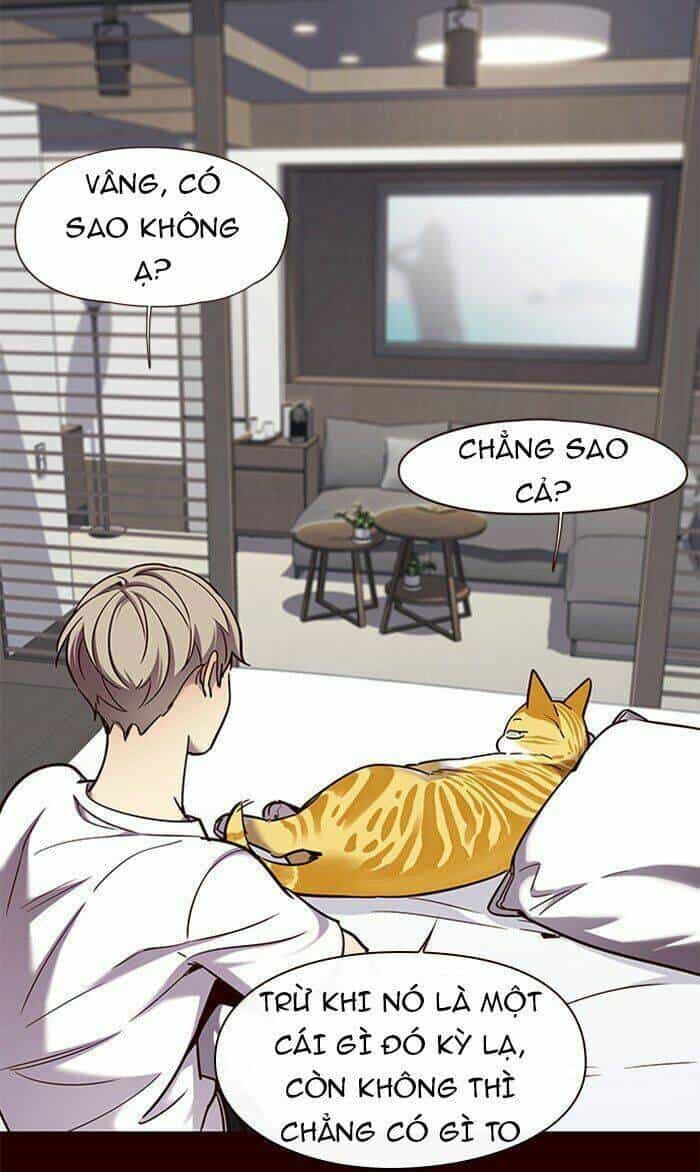 Hoá Thân Thành Mèo - Chương 75 - ảnh 39