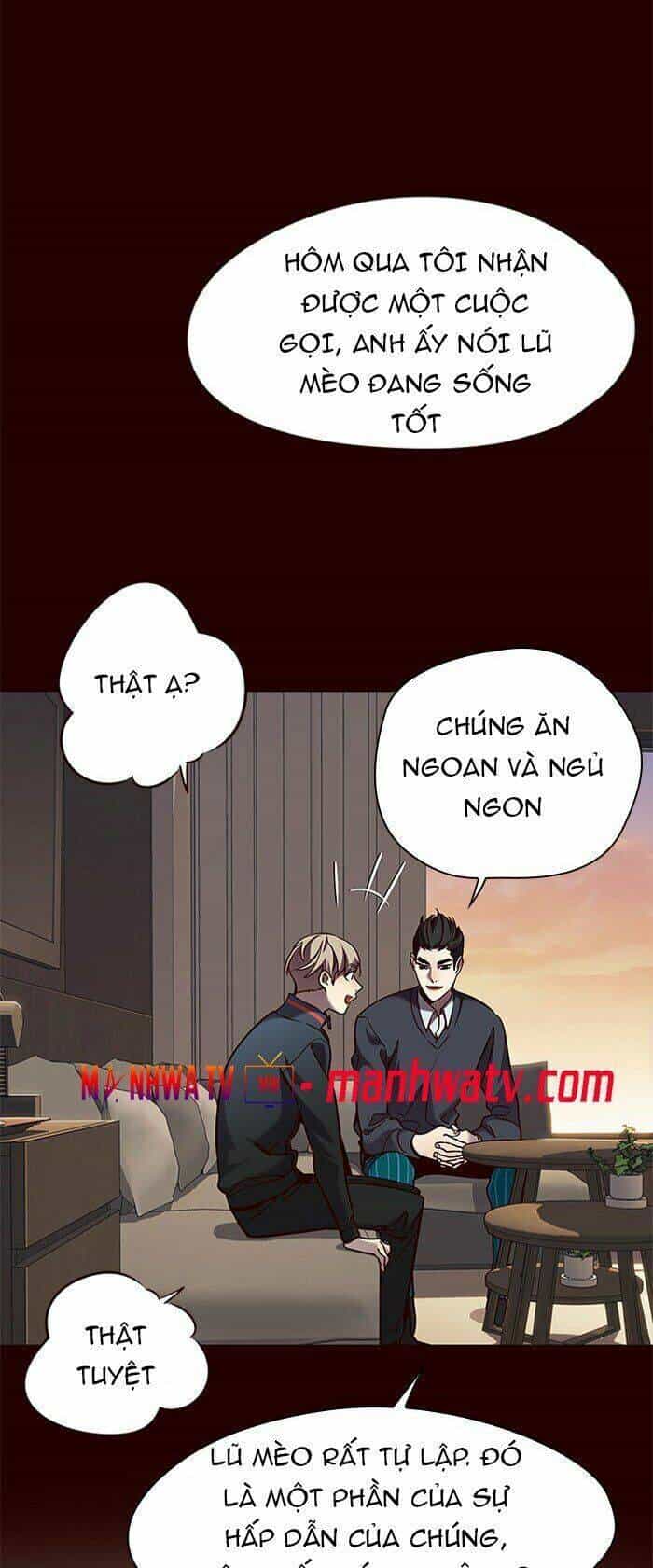 Hoá Thân Thành Mèo - Chương 78 - ảnh 65