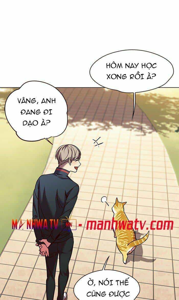 Hoá Thân Thành Mèo - Chương 80 - ảnh 48