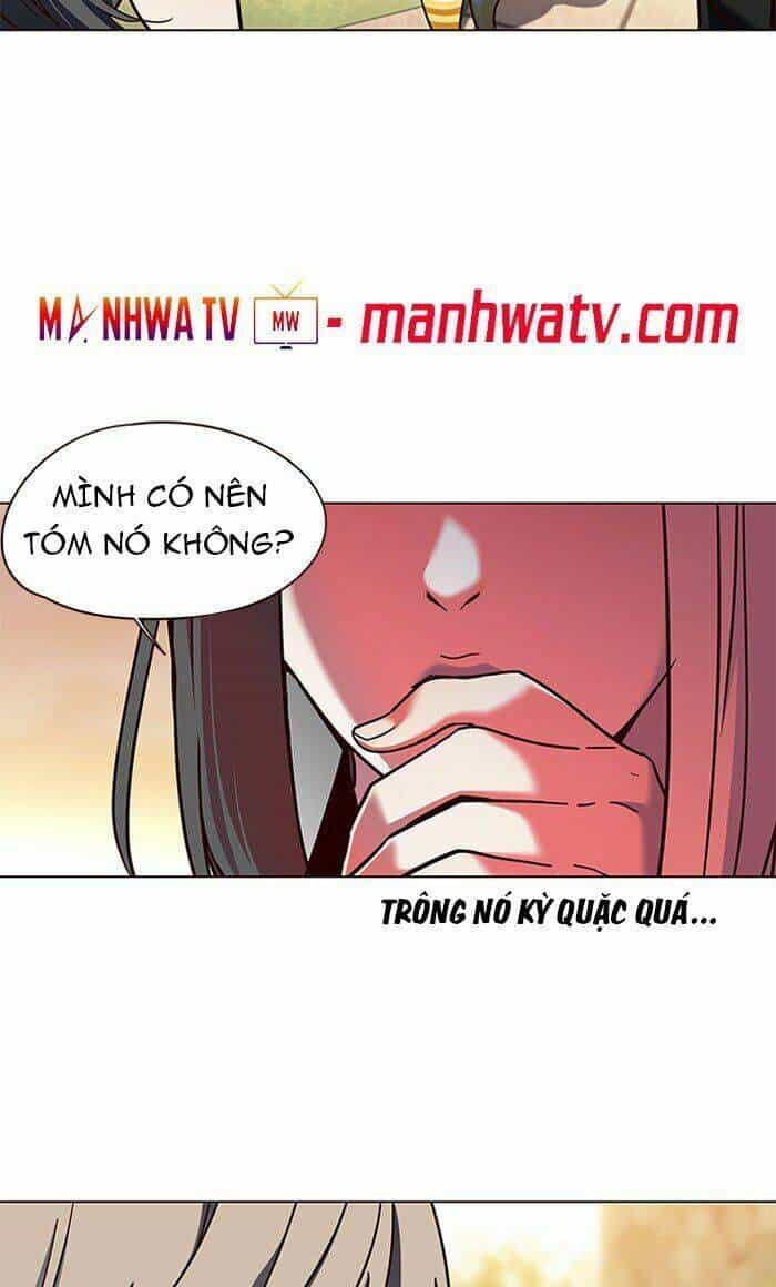 Hoá Thân Thành Mèo - Chương 80 - ảnh 64