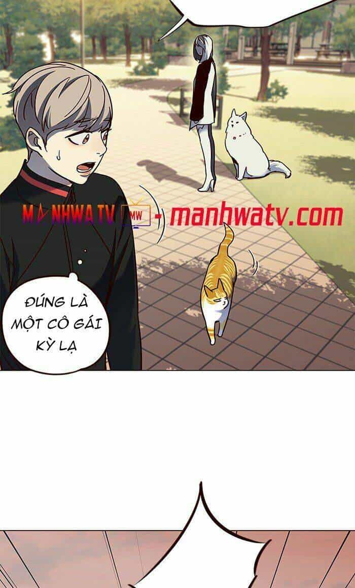 Hoá Thân Thành Mèo - Chương 80 - ảnh 69