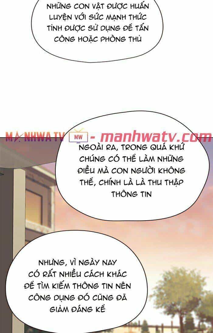 Hoá Thân Thành Mèo - Chương 81 - ảnh 41