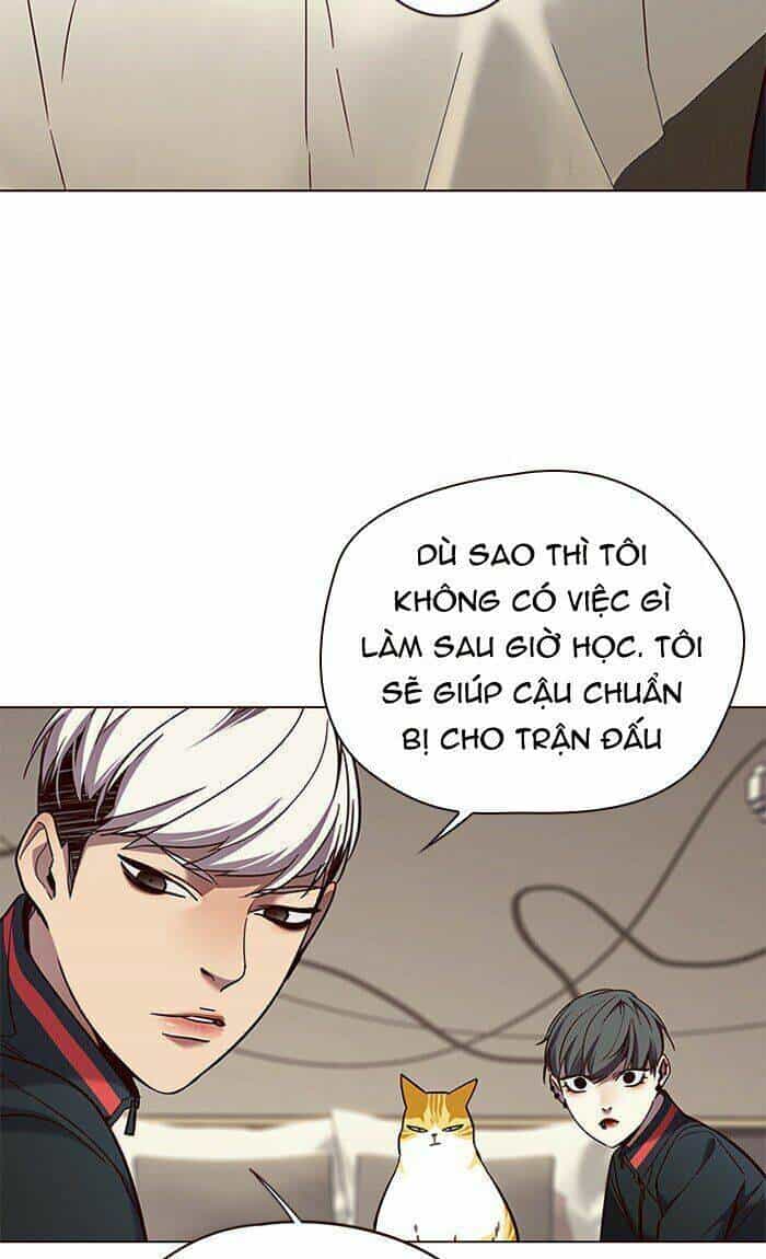 Hoá Thân Thành Mèo - Chương 82 - ảnh 55