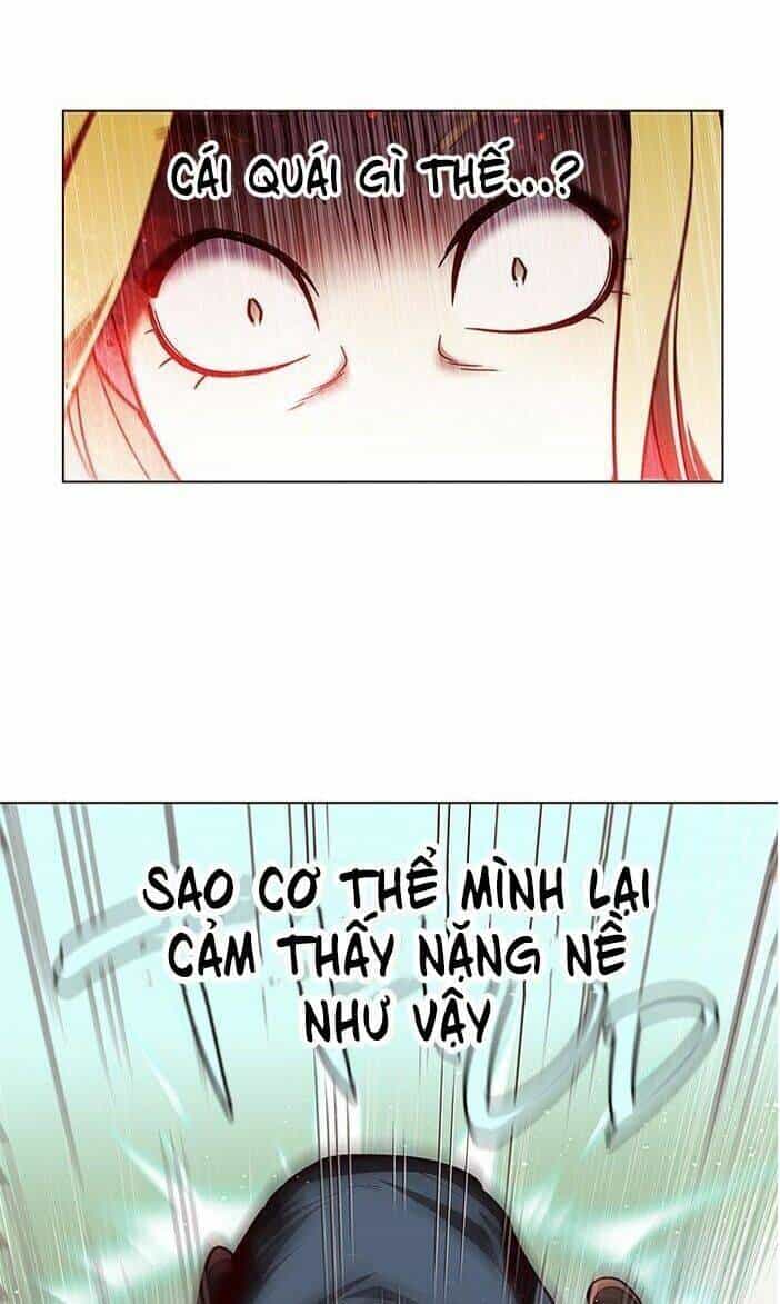 Hoá Thân Thành Mèo - Chương 84 - ảnh 56