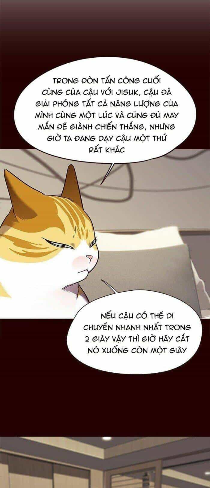 Hoá Thân Thành Mèo - Chương 87 - ảnh 40