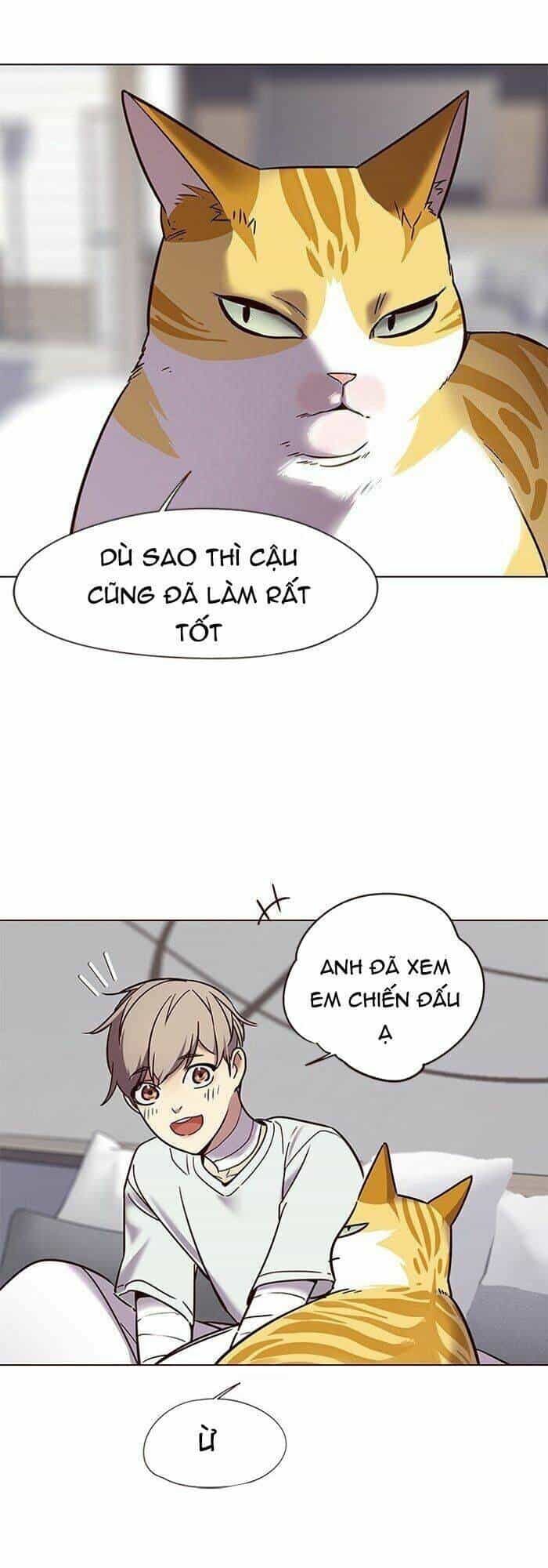 Hoá Thân Thành Mèo - Chương 88 - ảnh 14