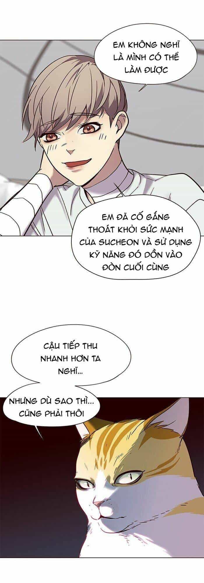 Hoá Thân Thành Mèo - Chương 88 - ảnh 15