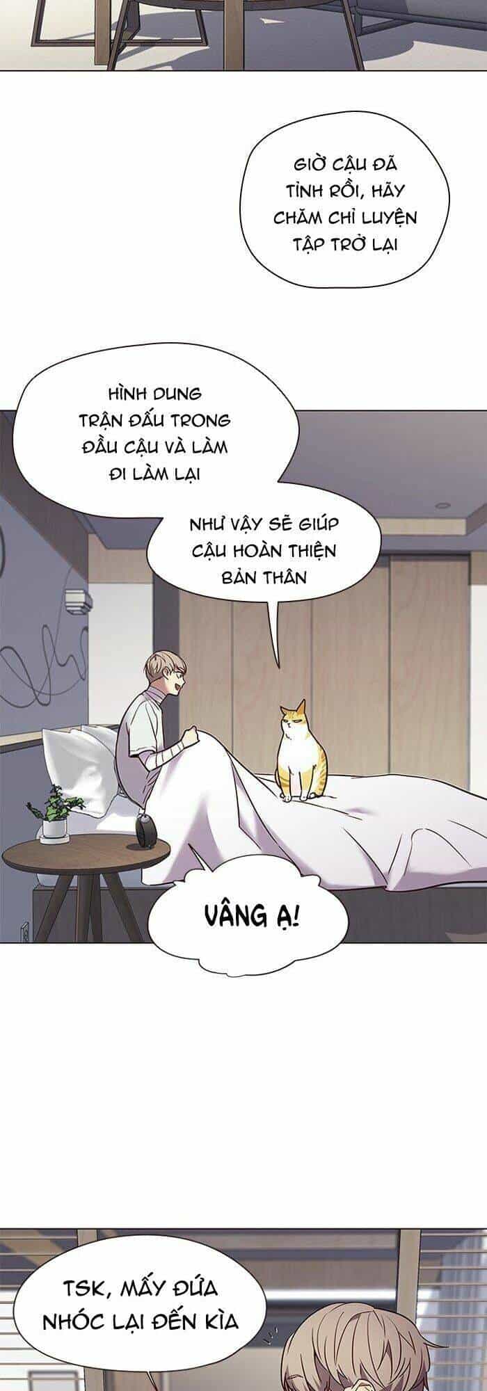 Hoá Thân Thành Mèo - Chương 88 - ảnh 19
