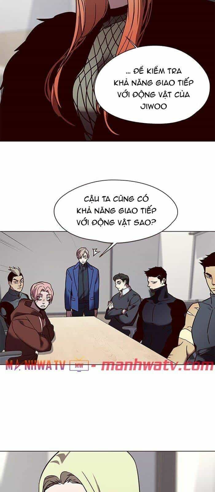 Hoá Thân Thành Mèo - Chương 88 - ảnh 53