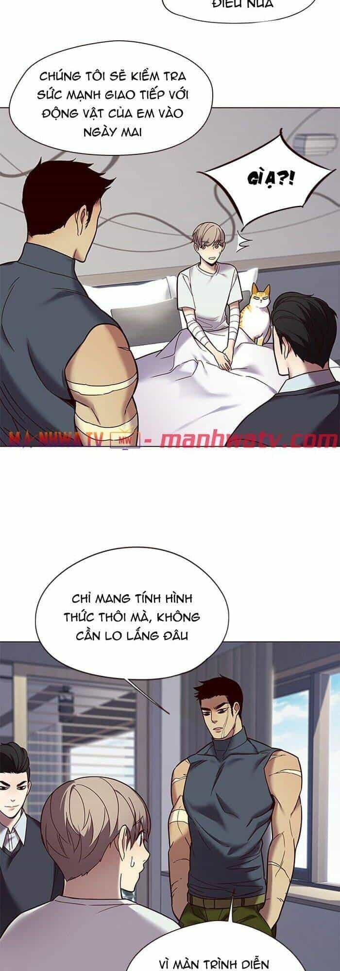 Hoá Thân Thành Mèo - Chương 89 - ảnh 12