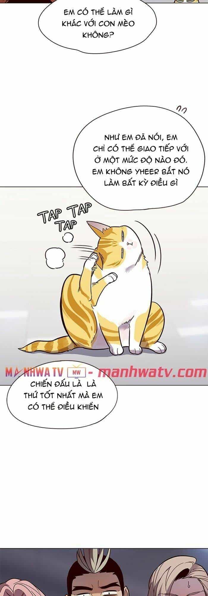 Hoá Thân Thành Mèo - Chương 89 - ảnh 33